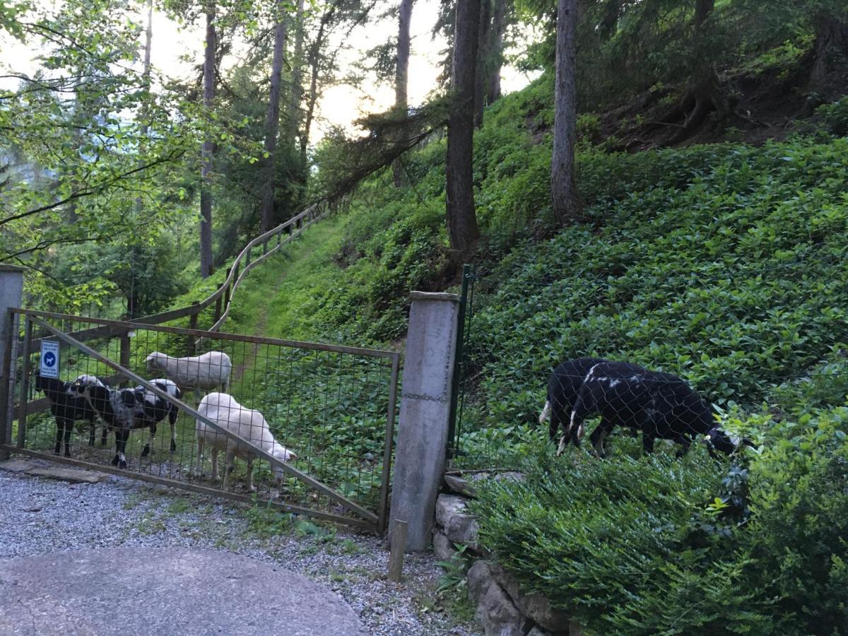 Vila Pointhaeusl Pfarrwerfen Exteriér fotografie